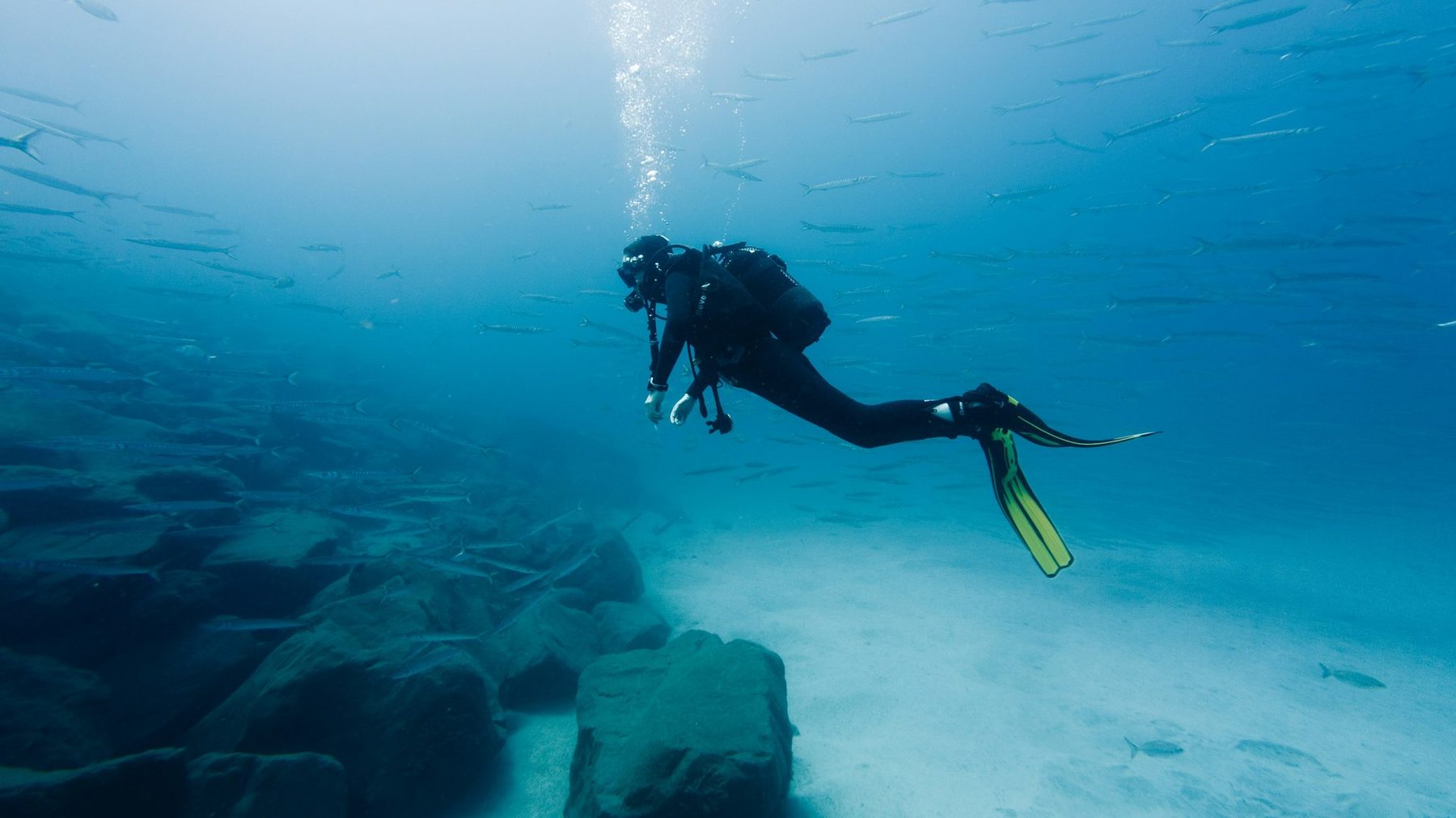 scuba diver using breathing air supplied by high pressure scuba compressor